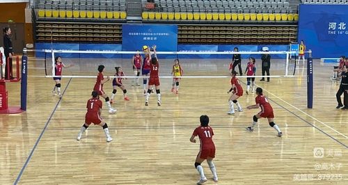 韦世豪：希望恢复主客场后我们能拿出更好的东西