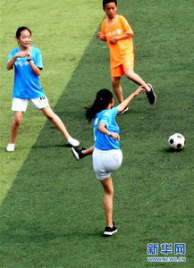 纬来直播体育足球 封面图