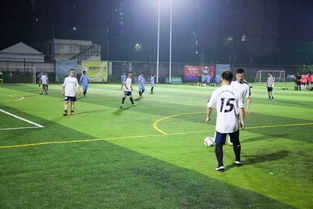 他来了!伊布乘私人飞机抵达米兰 遭大批球迷围堵